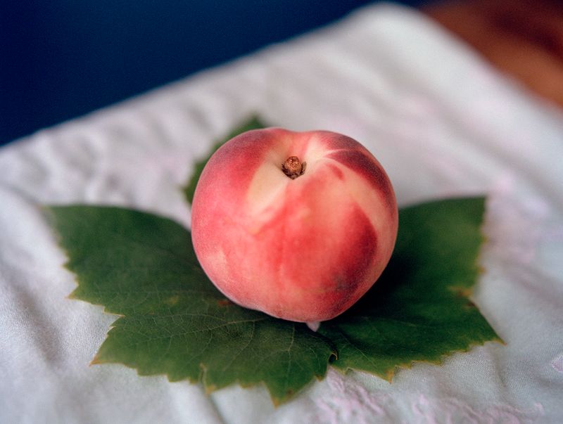 © Elsbeth Tijssen - Image from the Live As You Love photography project