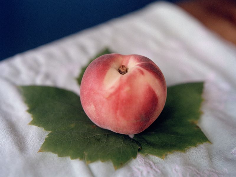 © Elsbeth Tijssen - Image from the Live As You Love photography project