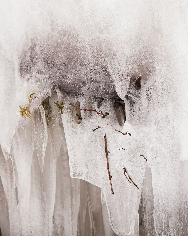 © Fred Mitchell - Image from the 5/4 photography project