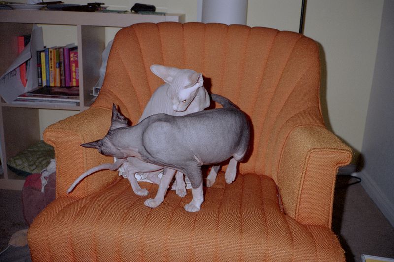 © Fred Mitchell - Image from the A Country Boy Cant Survive photography project