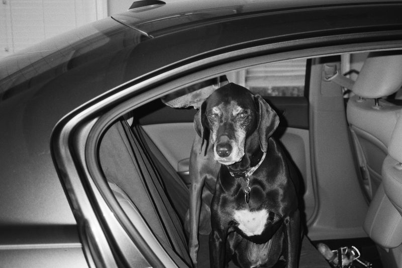 © Fred Mitchell - Image from the A Country Boy Cant Survive photography project