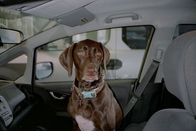 © Fred Mitchell - Image from the A Country Boy Cant Survive photography project