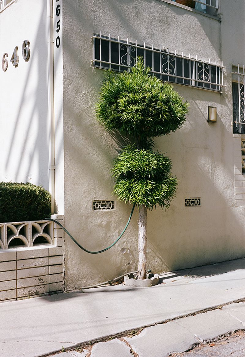 © Fred Mitchell - Image from the Two Conversations About the Same Thing photography project