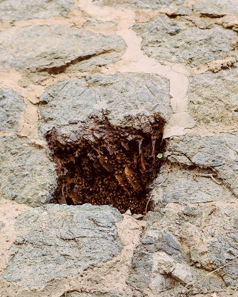 © Fred Mitchell - Image from the Two Conversations About the Same Thing photography project