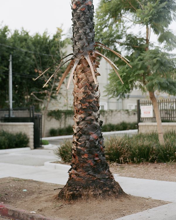 © Fred Mitchell - Image from the Two Conversations About the Same Thing photography project