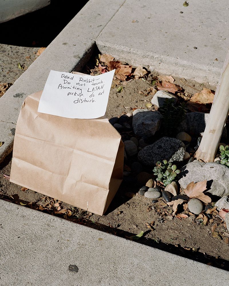 © Fred Mitchell - Image from the Two Conversations About the Same Thing photography project