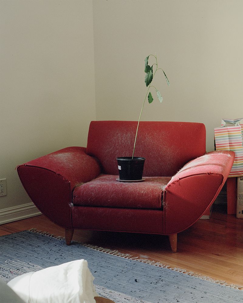 © Fred Mitchell - Image from the Two Conversations About the Same Thing photography project