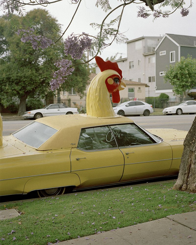 © Fred Mitchell - Image from the Two Conversations About the Same Thing photography project