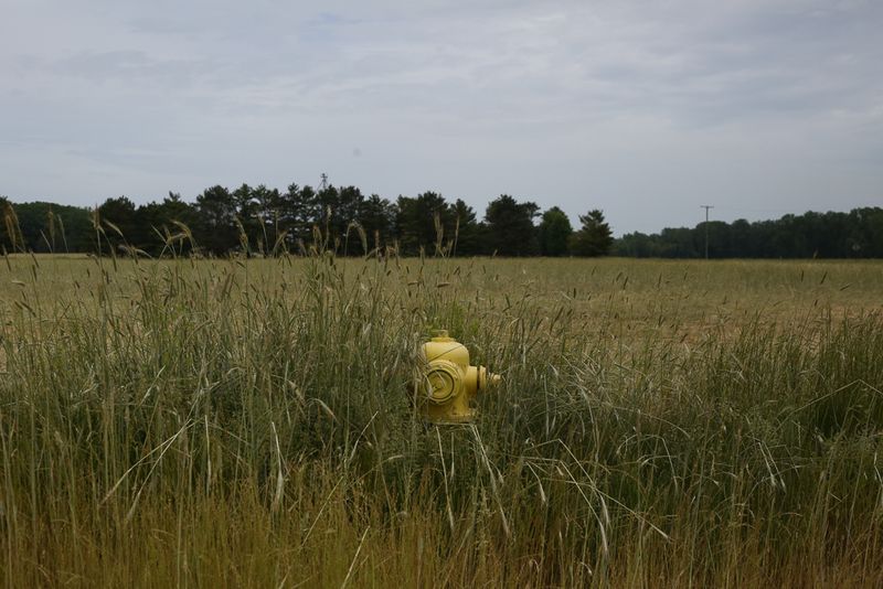 © Melissa Prieskorn - Image from the Uncle Bob photography project