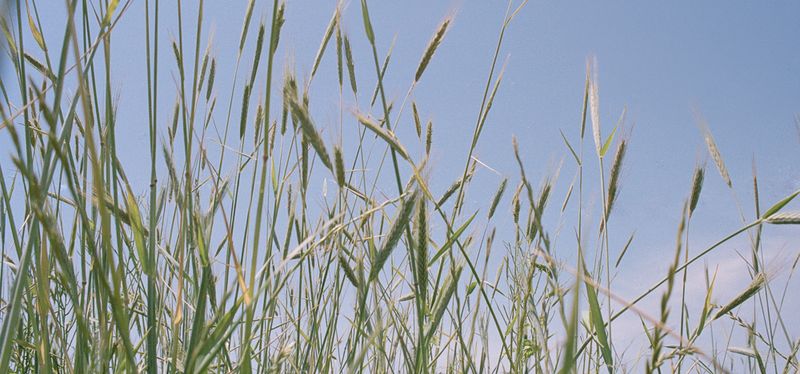 © Melissa Prieskorn - Image from the Uncle Bob photography project