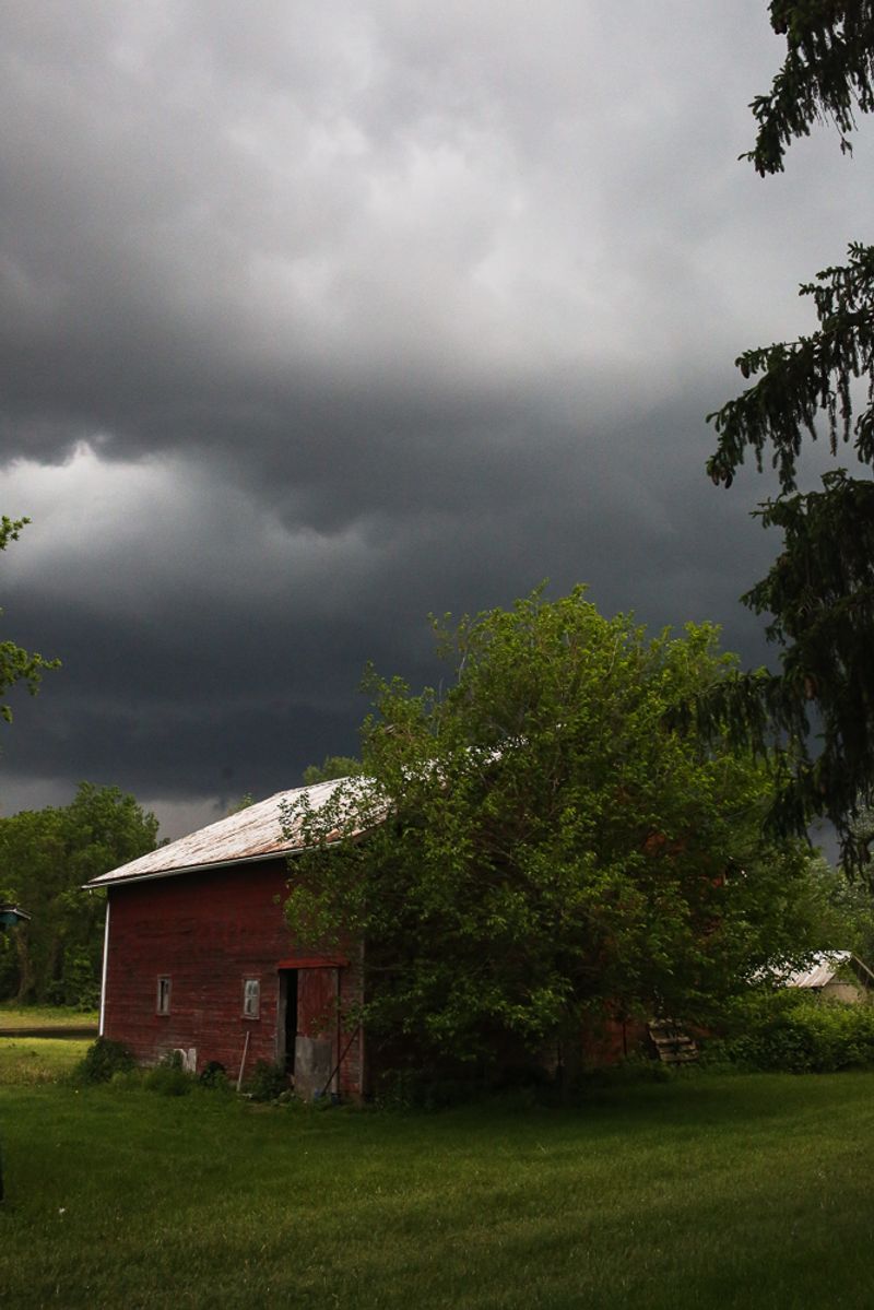 © Melissa Prieskorn - Image from the Uncle Bob photography project