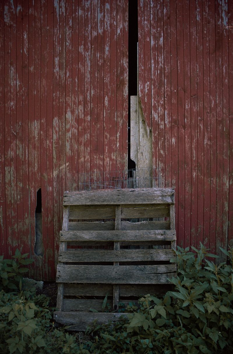 © Melissa Prieskorn - Image from the Uncle Bob photography project