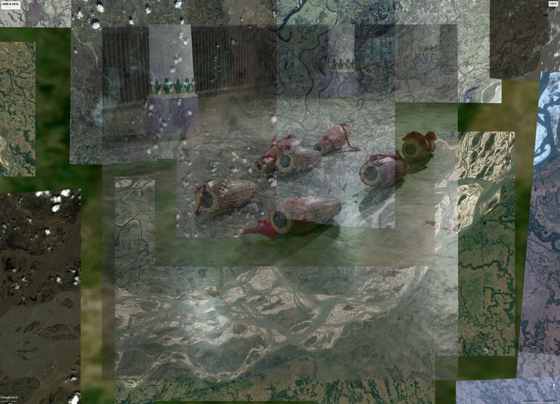 © Zishaan A Latif - 2008 & 2018