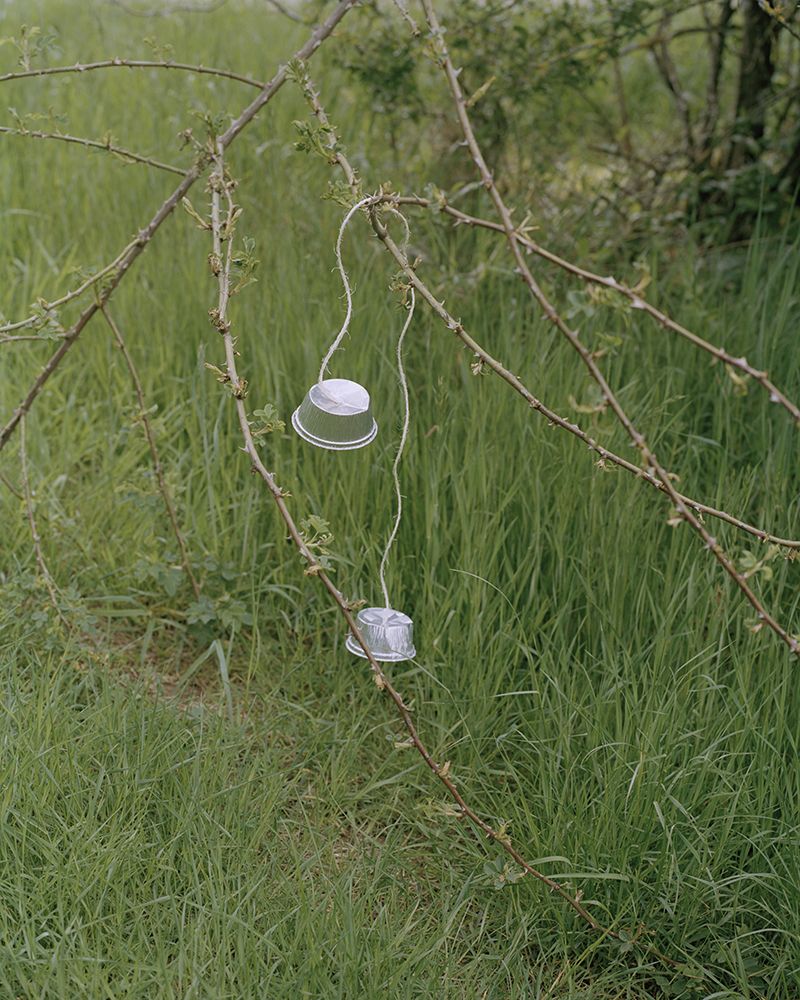 © Emily Graham - Branches, Foil, String, 2019.
