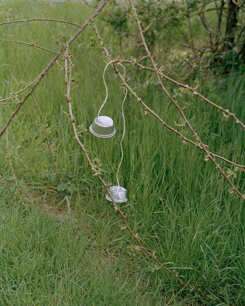 © Emily Graham - Branches, Foil, String, 2019.
