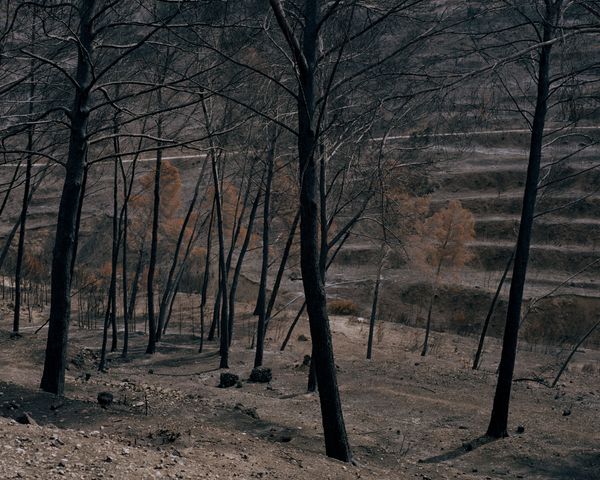 © Emily Graham - Image from the The Blindest Man photography project