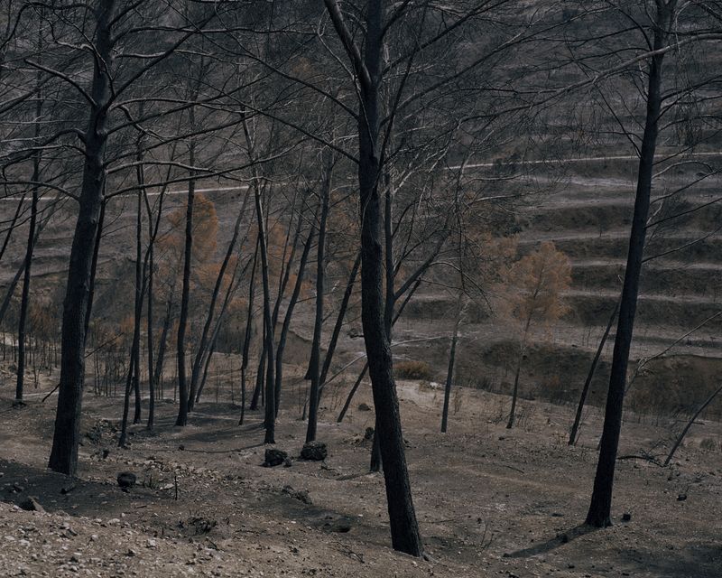 © Emily Graham - Image from the The Blindest Man photography project