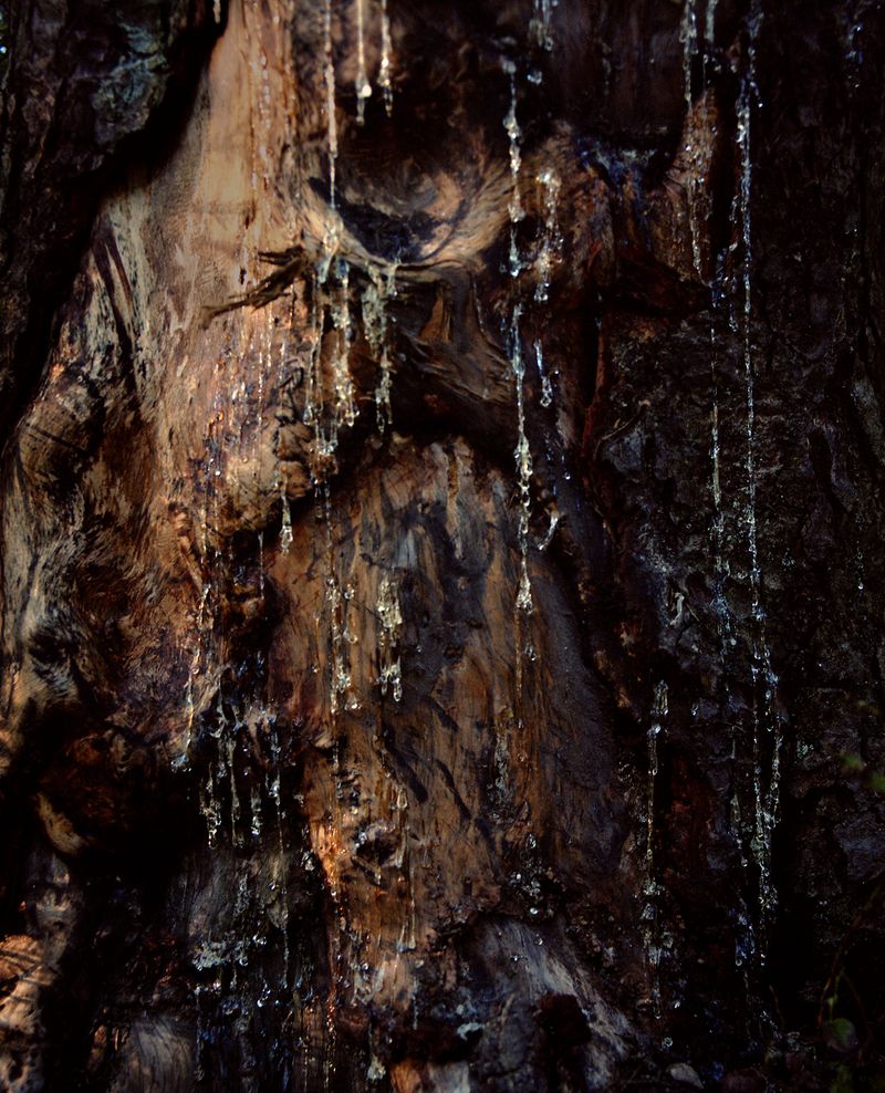 © Emily Graham - Image from the The Blindest Man photography project