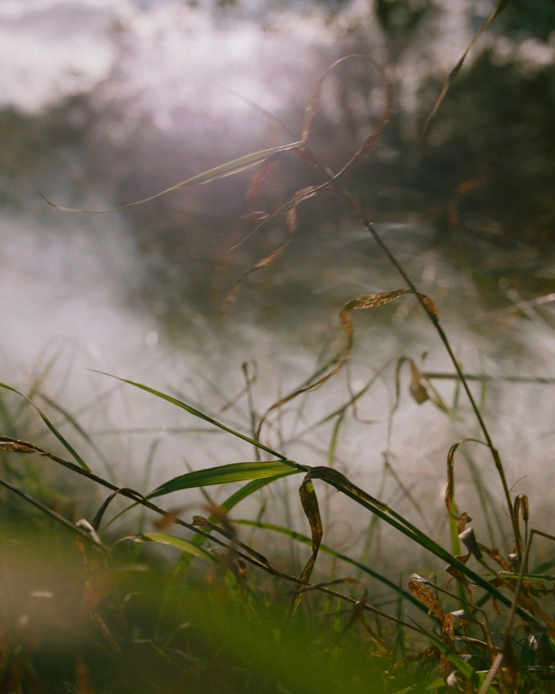 © Emily Graham - Image from the The Blindest Man photography project