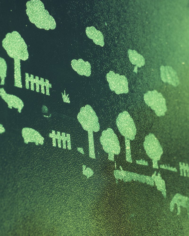 © Emily Graham - Trees, animals, 2021.