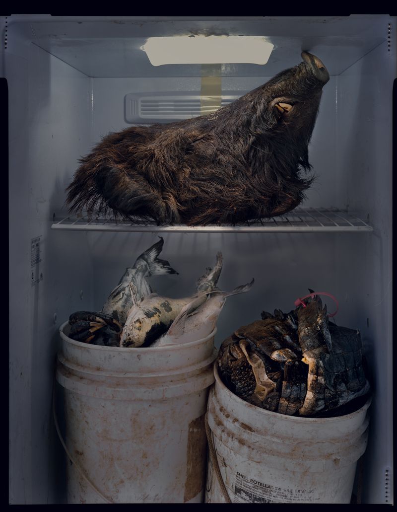 © Bryan Locke - Josh's Fridge, 2024