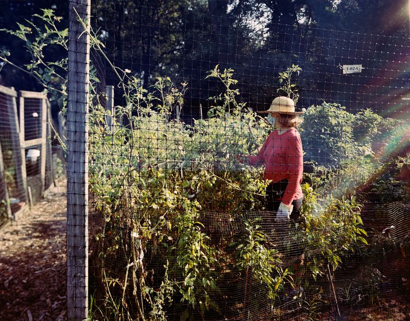 © T.J. Kirkpatrick - Image from the The Park photography project