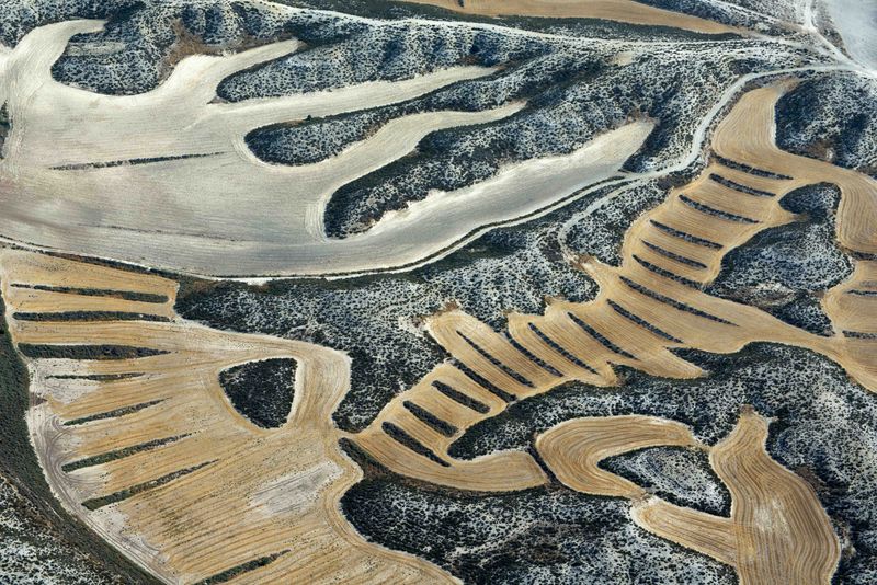 © Stefano Degli Esposti - Squid