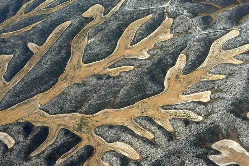 © Stefano Degli Esposti - Deer Horns