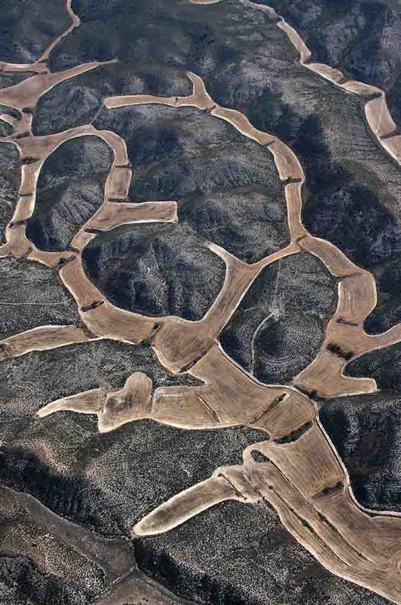 © Stefano Degli Esposti - Scorpion