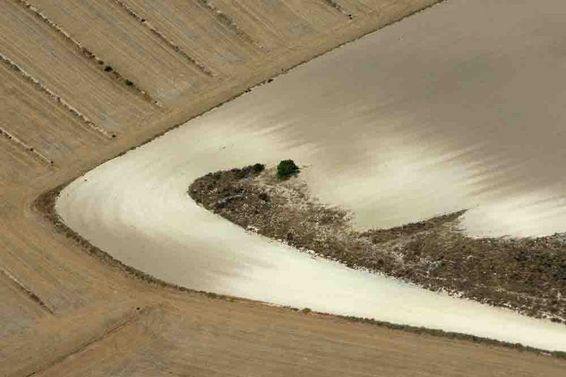 © Stefano Degli Esposti - Shark