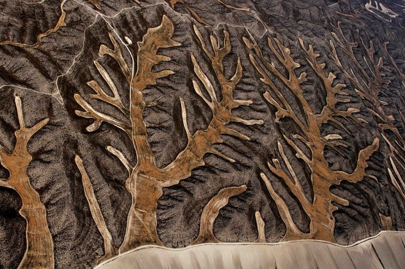 © Stefano Degli Esposti - Forest