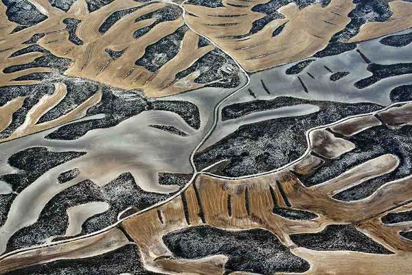 © Stefano Degli Esposti - Elk and Tiger