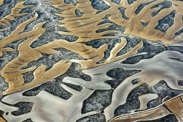 © Stefano Degli Esposti - The Mad Hatter