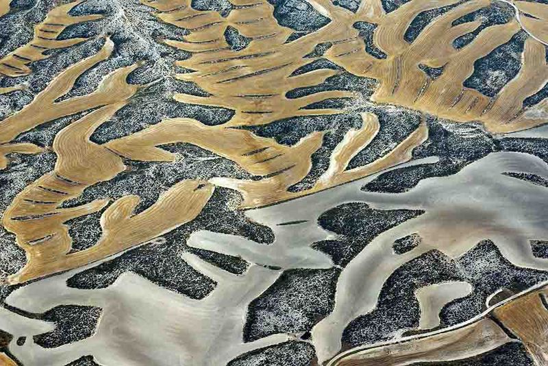 © Stefano Degli Esposti - The Mad Hatter