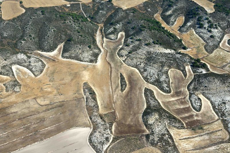 © Stefano Degli Esposti - Aristocats