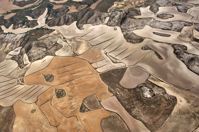 © Stefano Degli Esposti - Acquarius