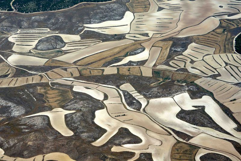 © Stefano Degli Esposti - Zoo