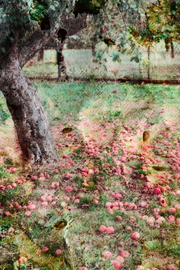 © Ewelina Bialoszewska - Image from the Growing Album photography project