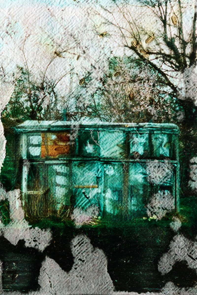 © Ewelina Bialoszewska - Image from the Growing Album photography project