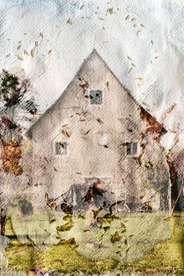 © Ewelina Bialoszewska - Image from the Growing Album photography project