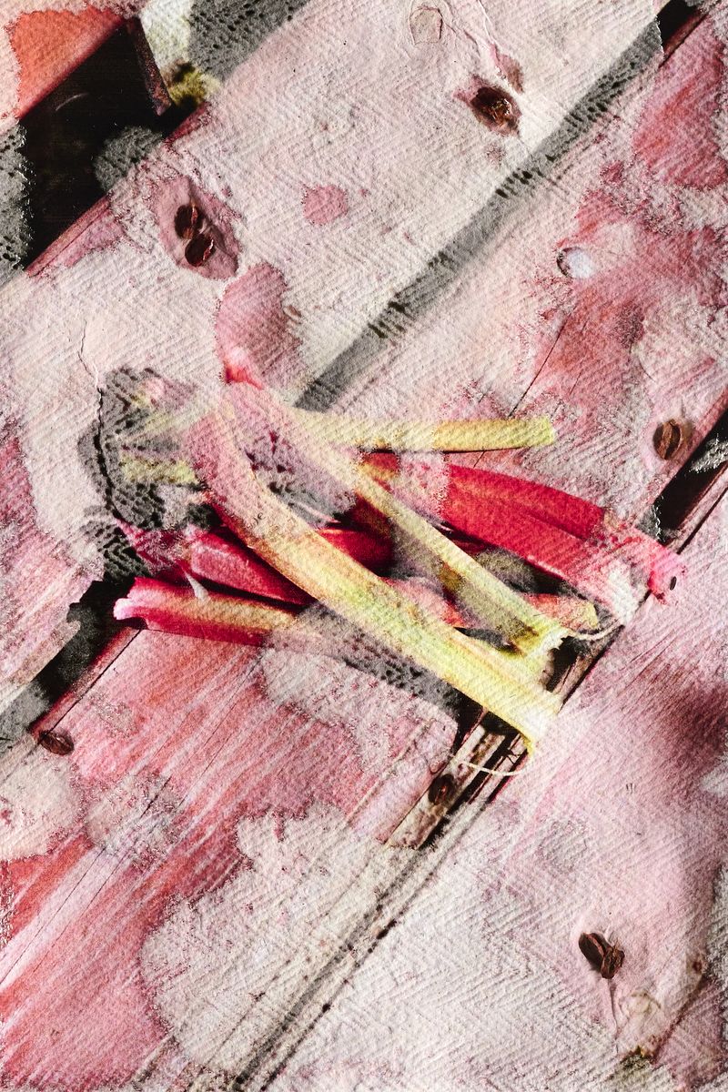 © Ewelina Bialoszewska - Image from the Growing Album photography project