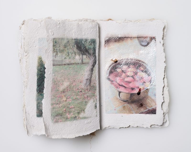 © Ewelina Bialoszewska - Image from the Growing Album photography project