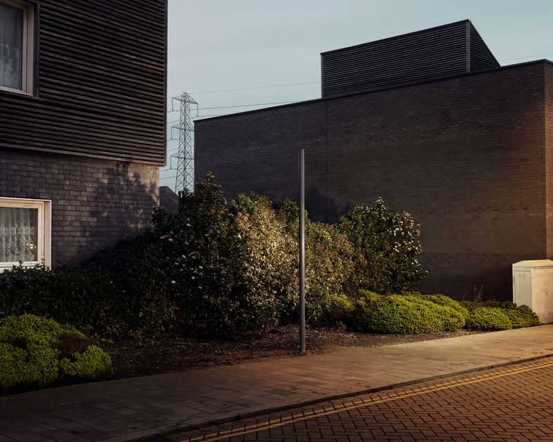 © Mass Collective - #90719, Window Pylon Foliage by Polly Tootal from "True Fictions From An Unreal City"