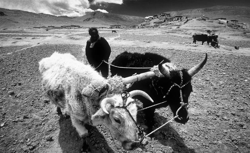 © Hwan Kim - Xigache, Tibet