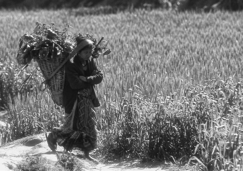 © Hwan Kim - Dobahn village, Nepal
