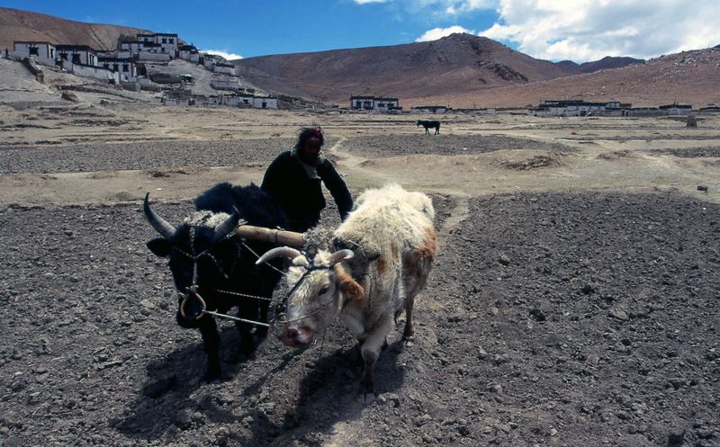 © Hwan Kim - An Tibetan farmer I met in Tibet