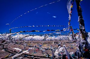 My terrible fever- Ladakh 나의 지독한 열병- 라다크의 기록