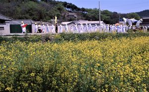 Korean traditional funeral series  한국의 전통 상례 시리즈 1