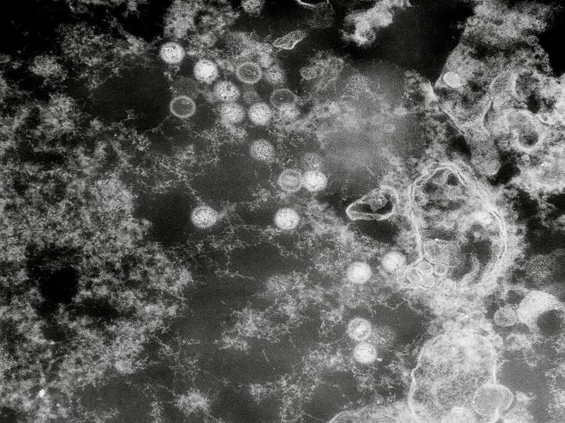 © Alessandro Truffa - Image from the Fuoco contro Fuoco photography project