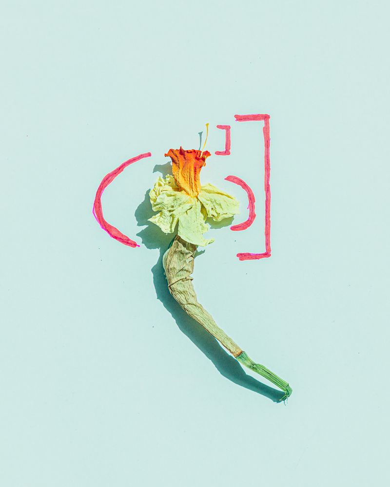 © Alessandro Truffa - The black box - How to decode a flower?